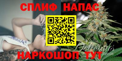 ECSTASY Камышлов