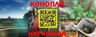 ECSTASY Камышлов