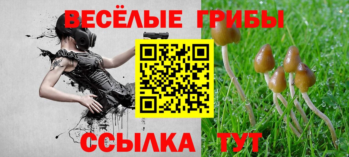 Кандалакша  Галлюциногенные грибы мухоморы  Вход с VPN 