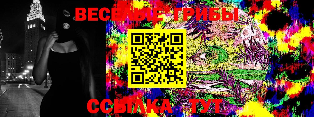Псилоцибиновые грибы GOLDEN TEACHER Кандалакша