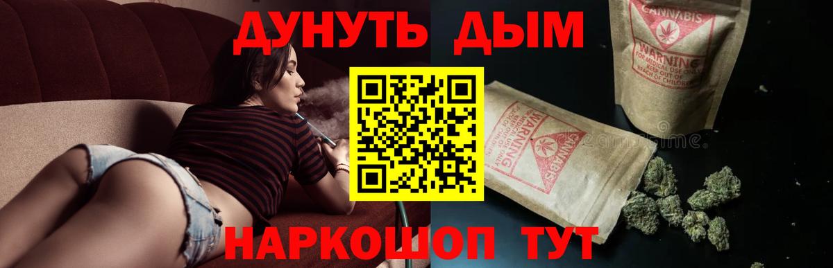 Каннабис сатива Кандалакша